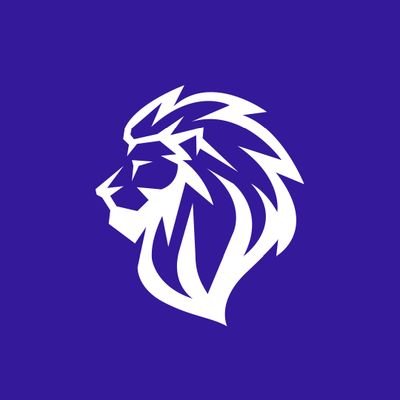 LyonVALORANT's profile picture