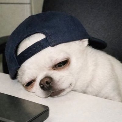 실화소니's profile picture