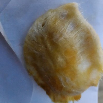SonOfAMuppet's profile picture