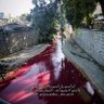Profilbild von عبدالله القاسمي