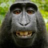 Jason Doege's profile picture