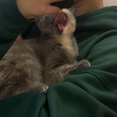 mlz9_'s profile picture