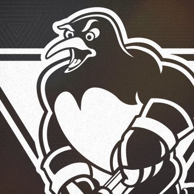 x - Wilkes-Barre/Scranton Penguins's profile picture