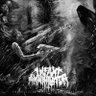Фото профиля Covenant of Circumcision