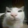 Profilbild von orson_seven