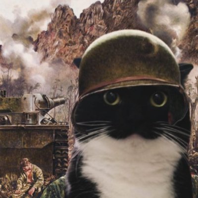 leafsplswin's profile picture
