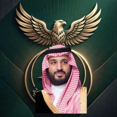 ☆ 💥 صقر محمد ابن سلمان 💥's profile picture