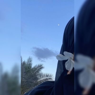 MMo7amed0's profile picture