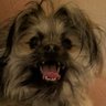 Profilbild von takashi miike