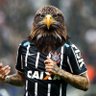 Gavião sem Asa⚔️'s profile picture