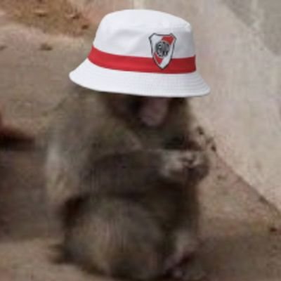 ExCabraneta's profile picture