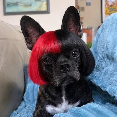 dj bean's profile picture