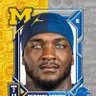 Do〽️ 🦁 🐅 🐙🐴's profile picture