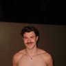 fungaro's profile picture