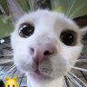 Profilbild von Kkua