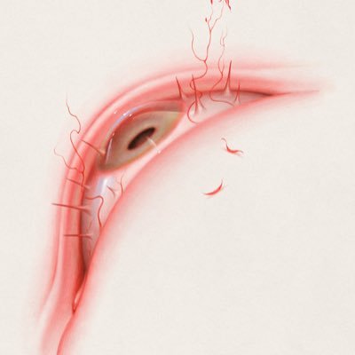 kior_____'s profile picture