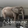 Elephant in the room's profile picture