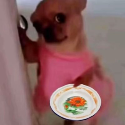 Doyoung00z's profile picture