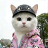 爱喝🧊冰可乐's profile picture