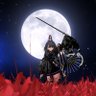 Profilbild von canata vrc