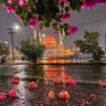 صـــافي الــود ❣️ 的头像