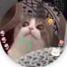 Leo_granny 🐻's profile picture