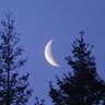 Luna 的头像
