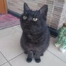 Profilbild von アタル
