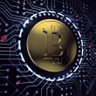 Profilbild von CryptoDay