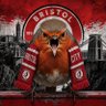 Matt's profile picture