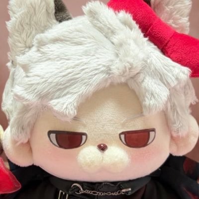 りのあ🐦⬛ぬい's profile picture