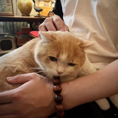 Ori玩具评测号's profile picture