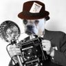 Profilbild von whonose