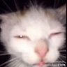 Profilbild von พิดโลก25