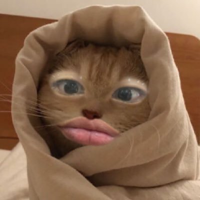 阿銘's profile picture