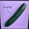 Gurkenmeister 的头像