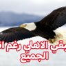 سيد حسنين 的头像