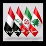 امير الباشا's profile picture