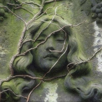 6zpfu's profile picture