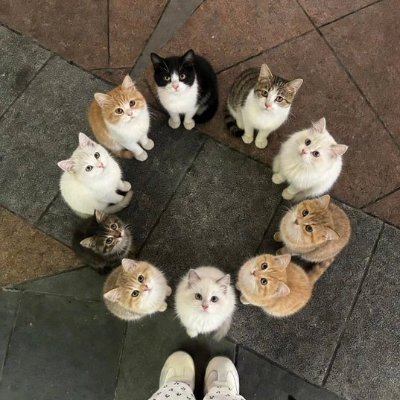 ไทบ้าน อุดร's profile picture