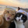 svt's profile picture