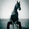 Meelon _official.'s profile picture