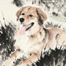 Kenan(互fo)'s profile picture