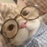 ชานิ . 的头像