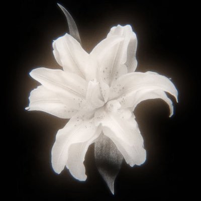 MrWhoArt's profile picture