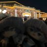 Profilbild von 七瀬
