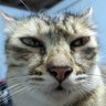 AB profil fotoğrafı