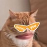 Elo's Kat 的头像