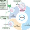 Фото профиля 果汁先輩