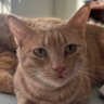Evelyn Y.'s profile picture
